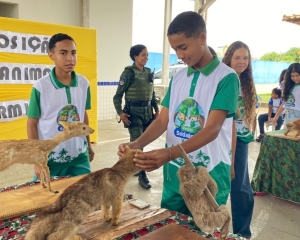 expo-animais-14.jpeg