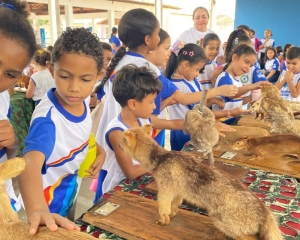 expo-animais-19.jpeg